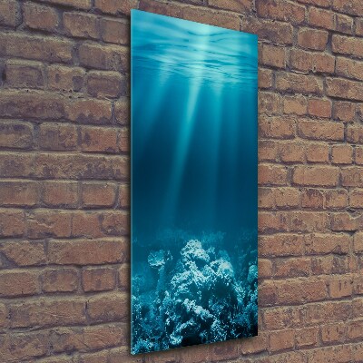 Cuadro de vidrio templado 4mm para pared vertical Mundo submarino