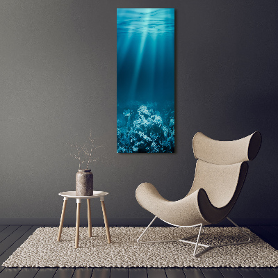 Cuadro de vidrio templado 4mm para pared vertical Mundo submarino