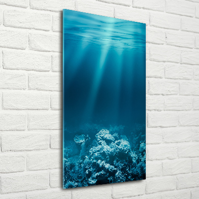Cuadro de vidrio templado 4mm para pared vertical Mundo submarino