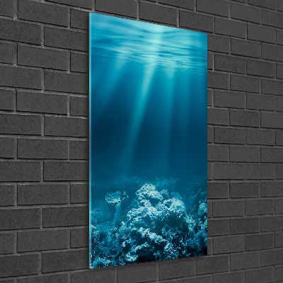 Cuadro de vidrio templado 4mm para pared vertical Mundo submarino