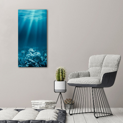 Cuadro de vidrio templado 4mm para pared vertical Mundo submarino