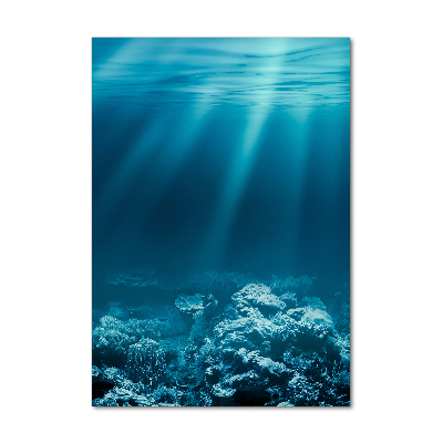 Cuadro de vidrio templado 4mm para pared vertical Mundo submarino