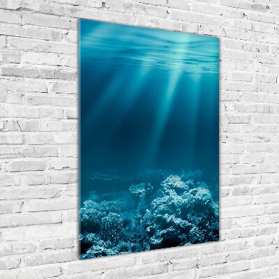 Cuadro de vidrio templado 4mm para pared vertical Mundo submarino