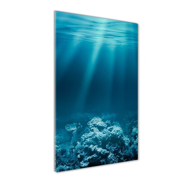 Cuadro de vidrio templado 4mm para pared vertical Mundo submarino