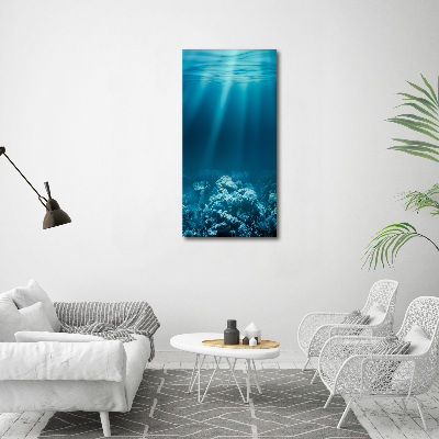 Cuadro de vidrio templado 4mm para pared vertical Mundo submarino