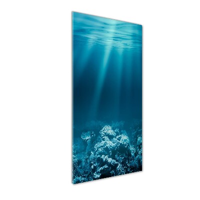 Cuadro de vidrio templado 4mm para pared vertical Mundo submarino