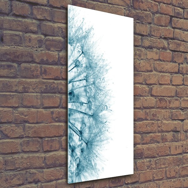 Cuadro de vidrio templado 4mm para pared vertical semillas de diente de león