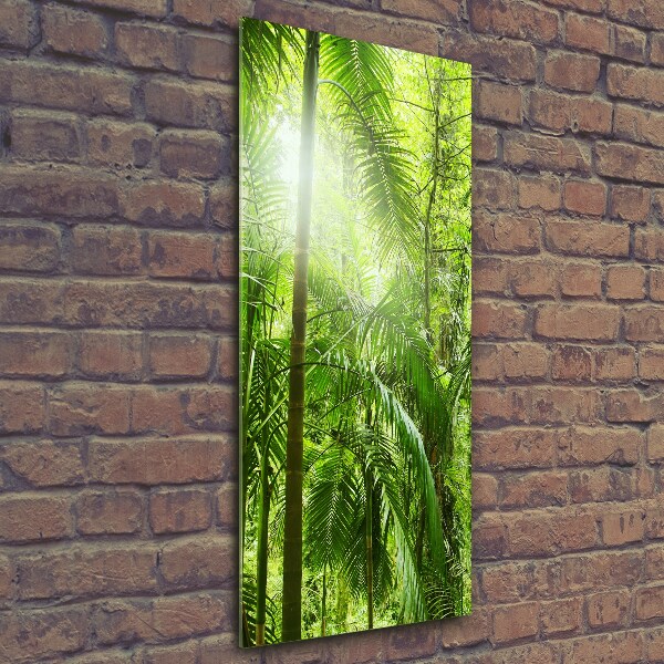 Cuadro de vidrio templado 4mm para pared vertical Selva tropical