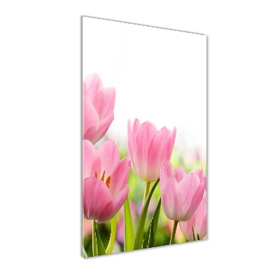 Cuadro decorativo en cristal con canto pulido vertical tulipanes rosados