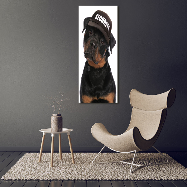 Cuadro de vidrio templado 4mm para pared vertical Rottweiler con gorra