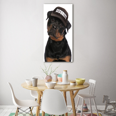 Cuadro de vidrio templado 4mm para pared vertical Rottweiler con gorra