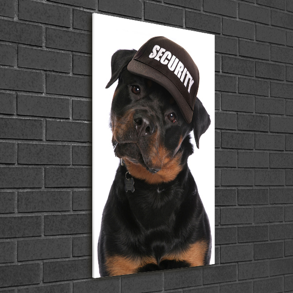 Cuadro de vidrio templado 4mm para pared vertical Rottweiler con gorra