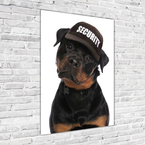 Cuadro de vidrio templado 4mm para pared vertical Rottweiler con gorra