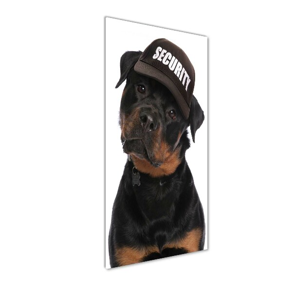 Cuadro de vidrio templado 4mm para pared vertical Rottweiler con gorra
