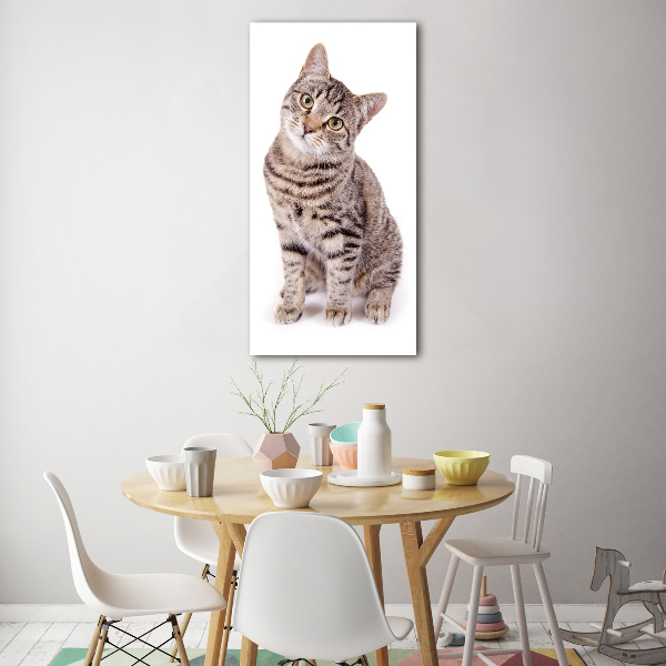 Fotocuadro de cristal elegante para hogar vertical Gato
