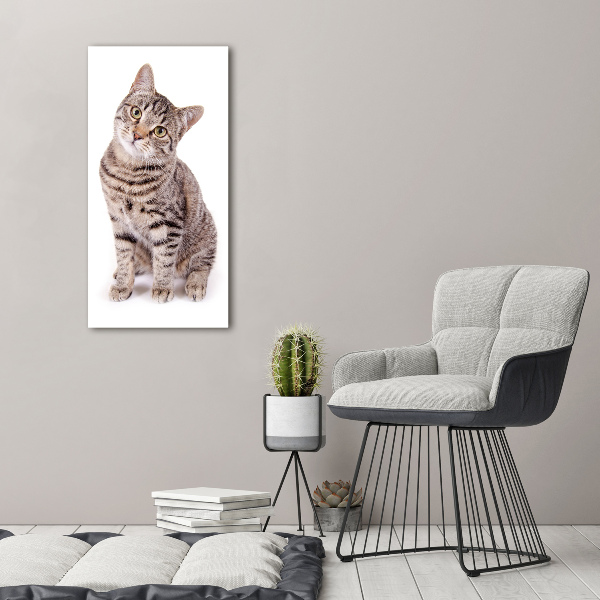 Fotocuadro de cristal elegante para hogar vertical Gato