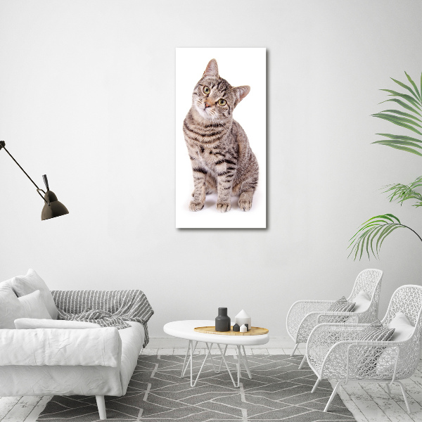 Fotocuadro de cristal elegante para hogar vertical Gato