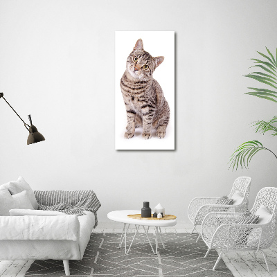 Fotocuadro de cristal elegante para hogar vertical Gato