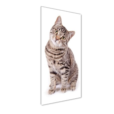 Fotocuadro de cristal elegante para hogar vertical Gato
