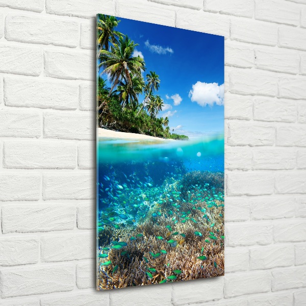 Cuadro de cristal moderno efecto brillo vertical Arrecife de coral