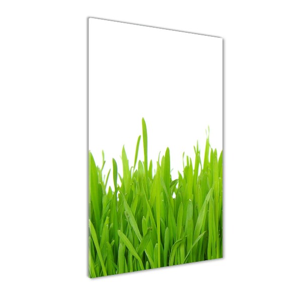Fotocuadro de cristal elegante para hogar vertical Hierba verde