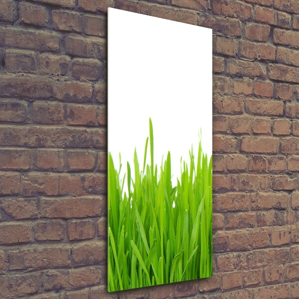 Fotocuadro de cristal elegante para hogar vertical Hierba verde