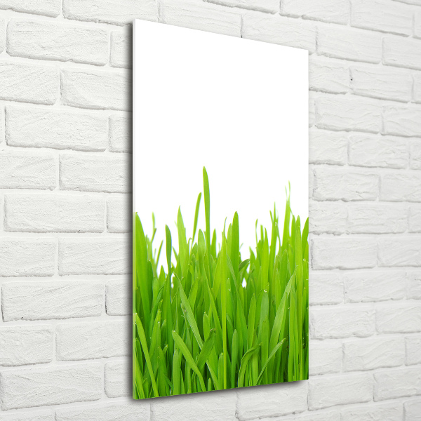 Fotocuadro de cristal elegante para hogar vertical Hierba verde