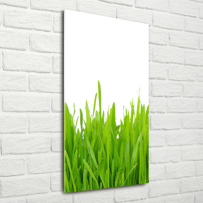 Fotocuadro de cristal elegante para hogar vertical Hierba verde