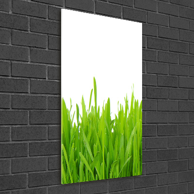 Fotocuadro de cristal elegante para hogar vertical Hierba verde