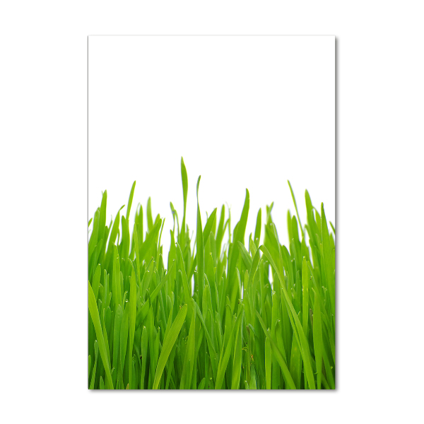 Fotocuadro de cristal elegante para hogar vertical Hierba verde