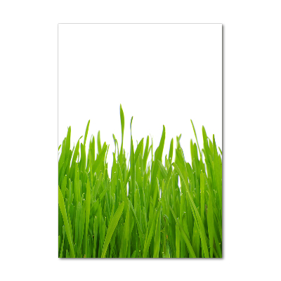 Fotocuadro de cristal elegante para hogar vertical Hierba verde