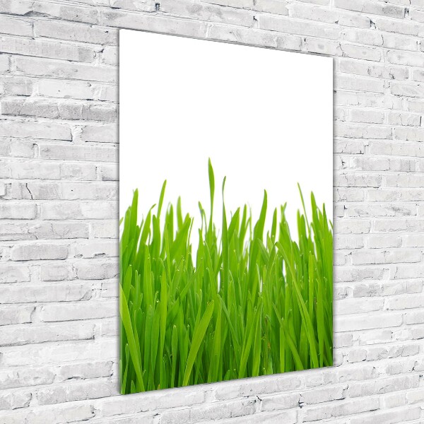 Fotocuadro de cristal elegante para hogar vertical Hierba verde