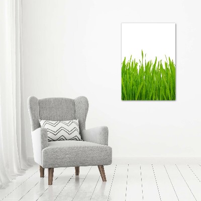 Fotocuadro de cristal elegante para hogar vertical Hierba verde