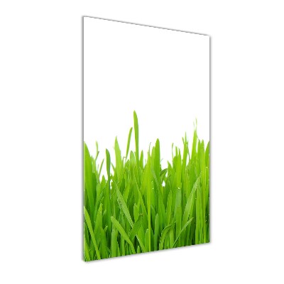 Fotocuadro de cristal elegante para hogar vertical Hierba verde
