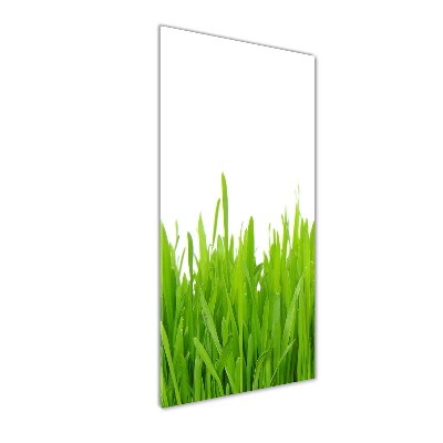 Fotocuadro de cristal elegante para hogar vertical Hierba verde
