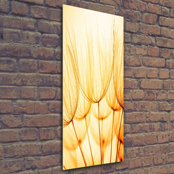 Cuadro de vidrio templado 4mm para pared vertical semillas de diente de león