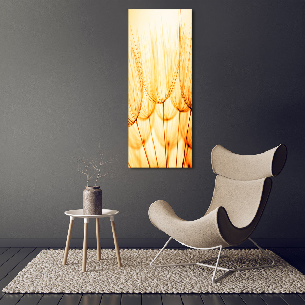 Cuadro de vidrio templado 4mm para pared vertical semillas de diente de león