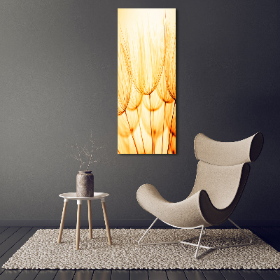 Cuadro de vidrio templado 4mm para pared vertical semillas de diente de león
