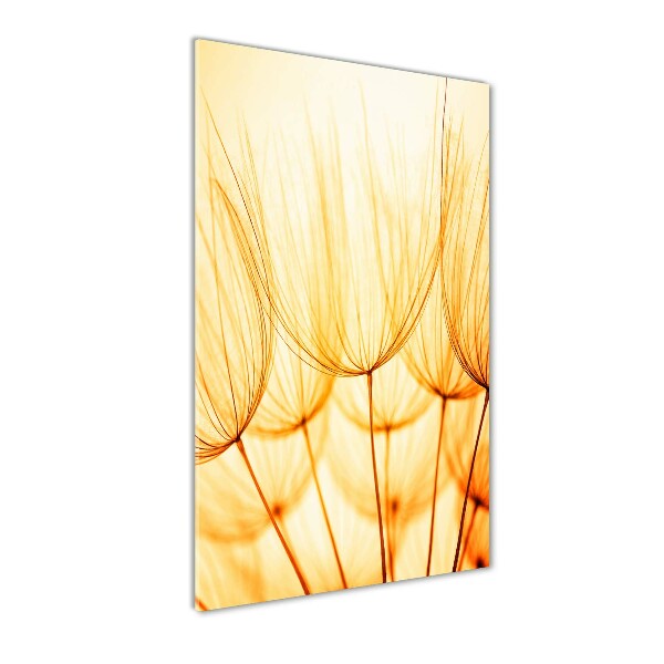 Cuadro de vidrio templado 4mm para pared vertical semillas de diente de león