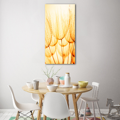 Foto obraz na szkle pionowy Nasiona dmuchawca