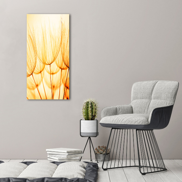 Cuadro de vidrio templado 4mm para pared vertical semillas de diente de león
