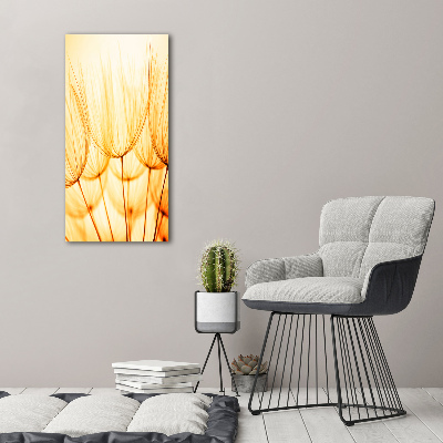 Cuadro de vidrio templado 4mm para pared vertical semillas de diente de león