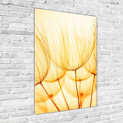 Cuadro de vidrio templado 4mm para pared vertical semillas de diente de león