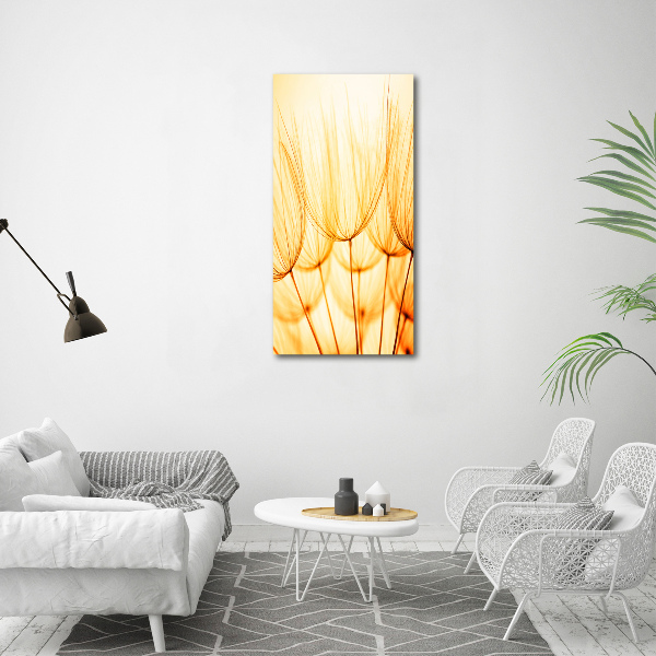 Cuadro de vidrio templado 4mm para pared vertical semillas de diente de león