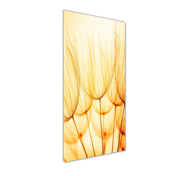 Cuadro de vidrio templado 4mm para pared vertical semillas de diente de león