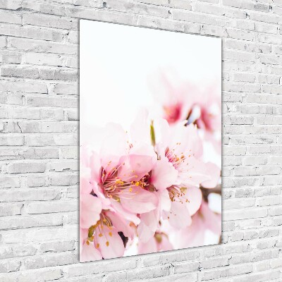 Cuadro decorativo en cristal con canto pulido vertical flores de almendro