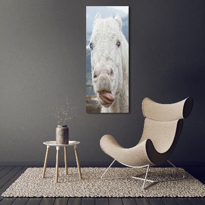 Cuadro decorativo en cristal con canto pulido vertical Caballo blanco loco