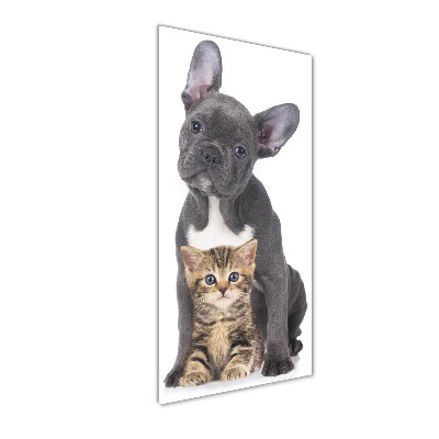 Cuadro de vidrio templado 4mm para pared vertical Perro y gato