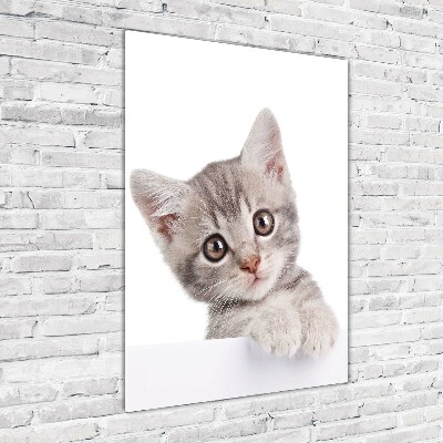 Fotocuadro de cristal elegante para hogar vertical gato gris