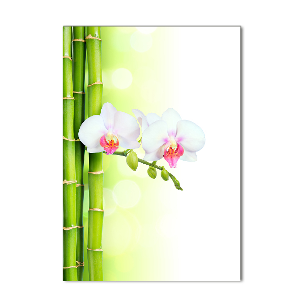 Cuadro de vidrio templado 4mm para pared vertical Orquídea y bambú